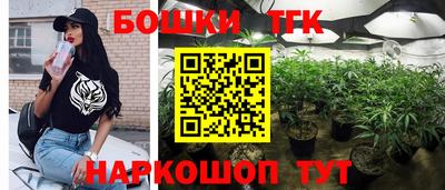 гидра Будённовск