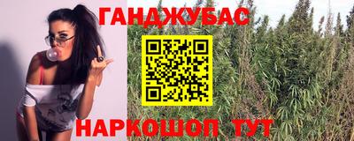 гидра Будённовск
