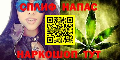 гидра Будённовск
